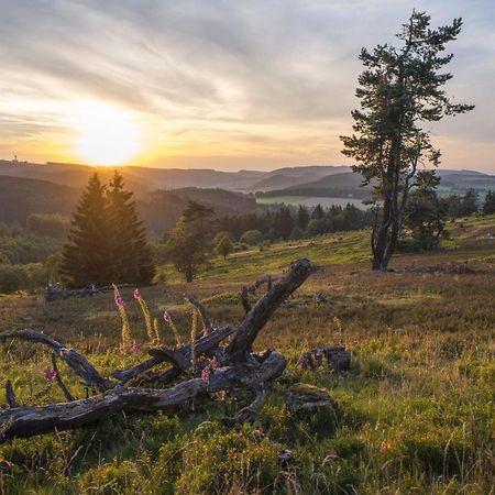 FeWo Pönblick Willingen  Exterior foto