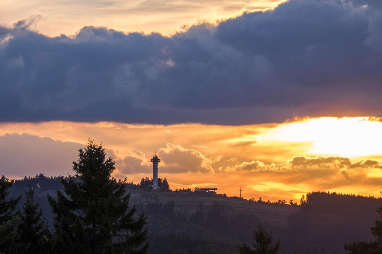 FeWo Pönblick Willingen  Exterior foto