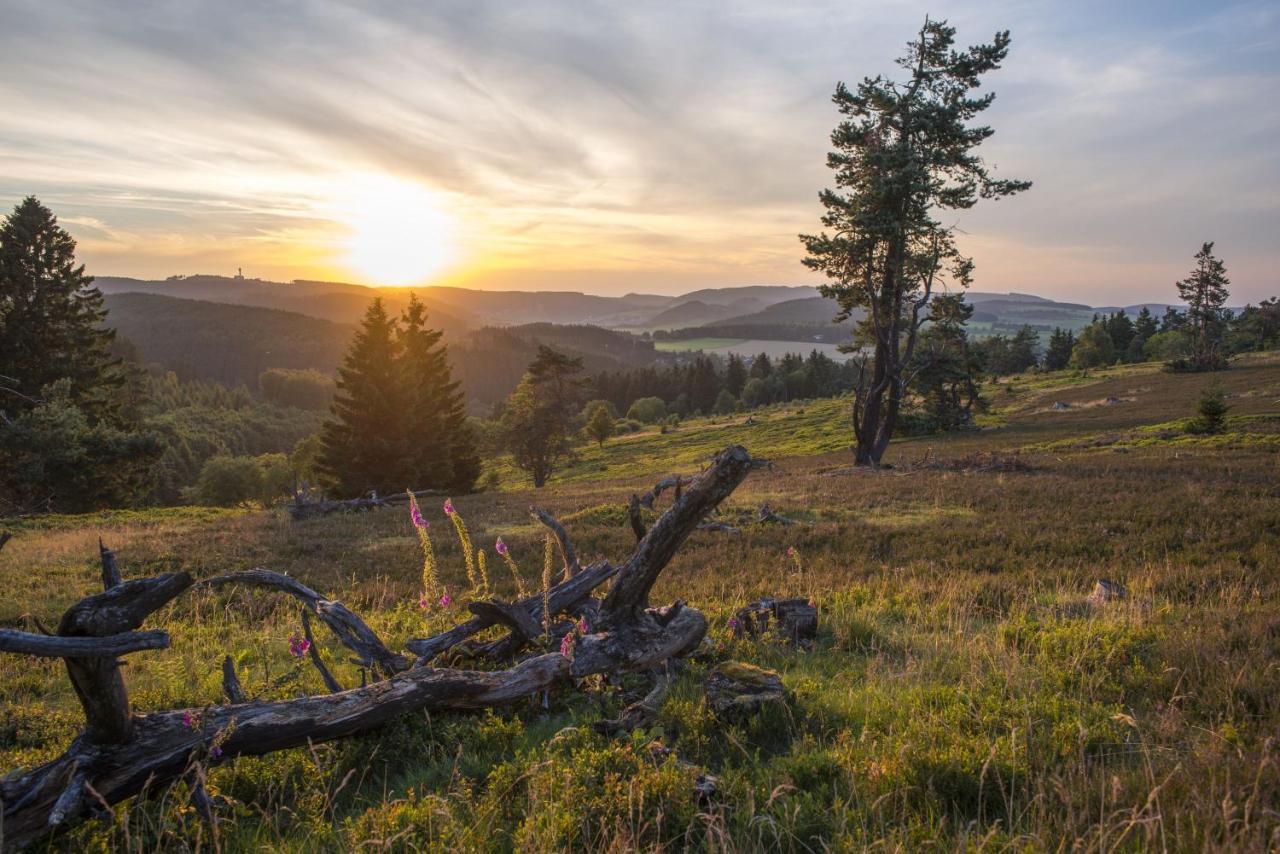 FeWo Pönblick Willingen  Exterior foto