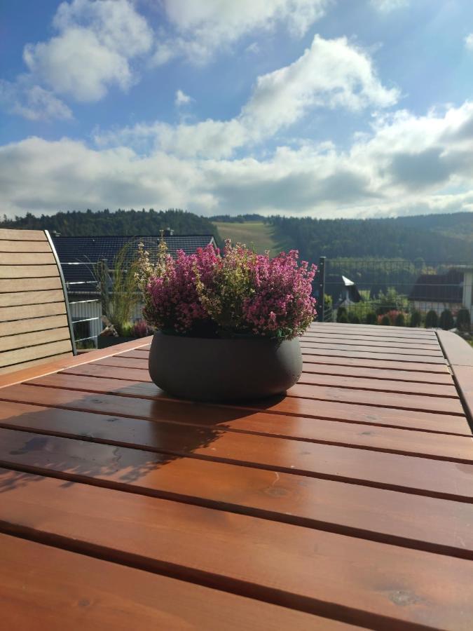 FeWo Pönblick Willingen  Exterior foto